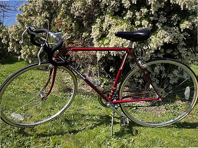 I'm selling a vintage bike from 1983 in perfect working condition for its age!!!