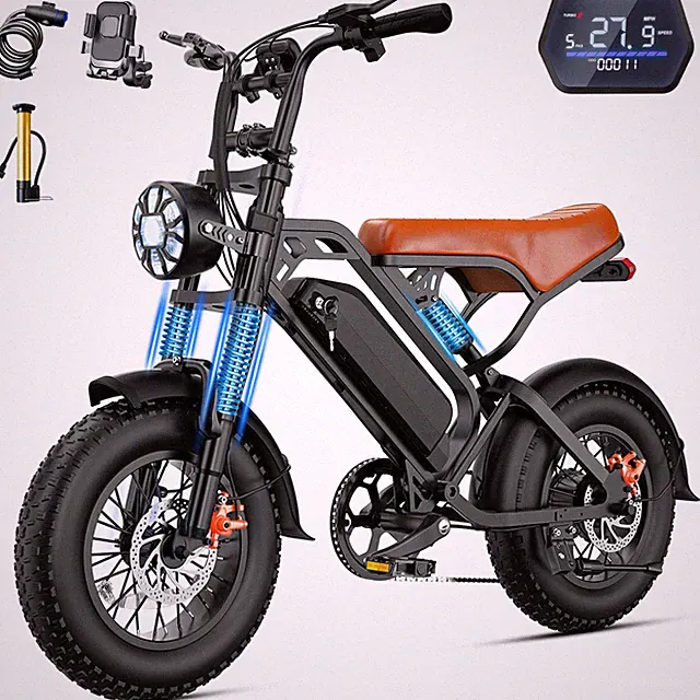 Retro Tire Electric Bike, 749W Motor 27.9MPH, 48V 13/15/18AH Removable Battery