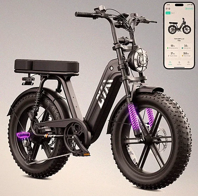 TST 20" Fat Tire Electric Bike Adults 1500W Peak 60 Miles E Bike E-Mountain Bike